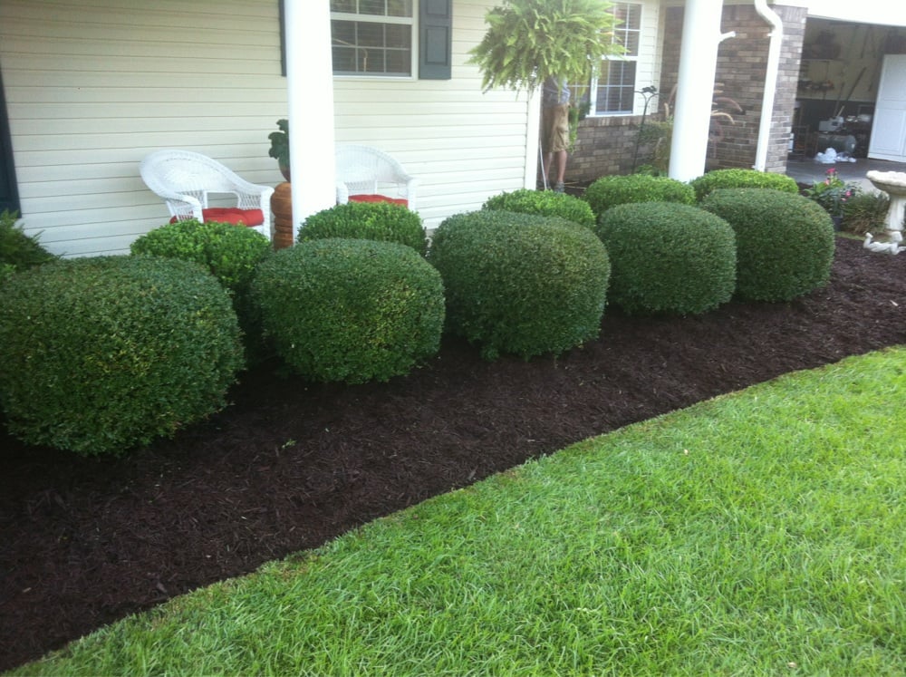 Sculpted boxwood hedges along a porch